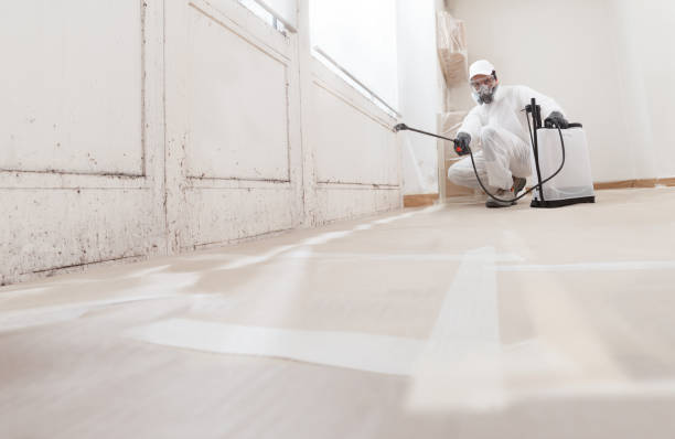 24/7 Emergency Crawl Space Mold Removal experts in Hermitage, TN