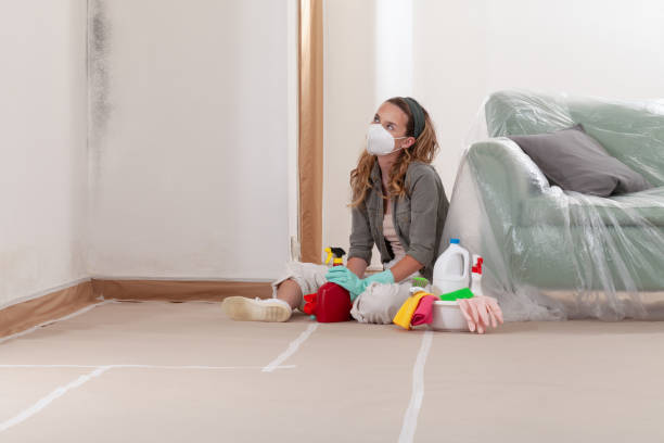 Reliable Crawl Space Mold Removal contractor in Hermitage, TN by WQB Mold Removal
